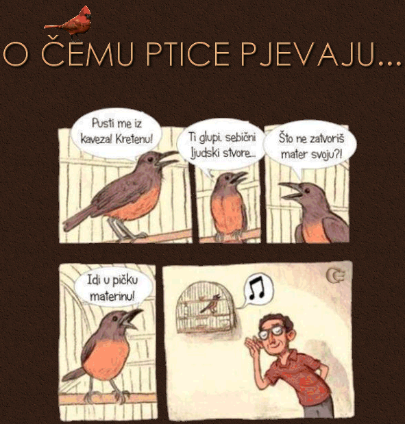 O čemu ptica pjeva...  © Carmen Ezgeta